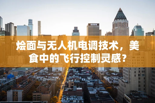 烩面与无人机电调技术，美食中的飞行控制灵感？