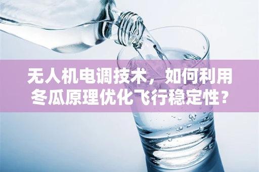 无人机电调技术，如何利用冬瓜原理优化飞行稳定性？