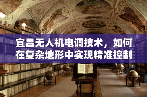 宜昌无人机电调技术，如何在复杂地形中实现精准控制？