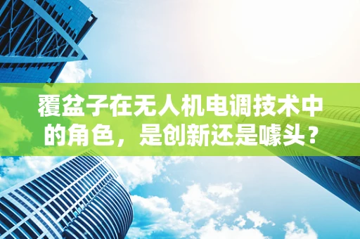 覆盆子在无人机电调技术中的角色，是创新还是噱头？