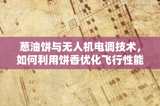 葱油饼与无人机电调技术，如何利用饼香优化飞行性能？