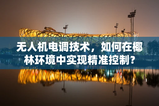 无人机电调技术，如何在椰林环境中实现精准控制？