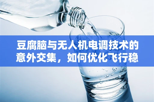 豆腐脑与无人机电调技术的意外交集，如何优化飞行稳定性？