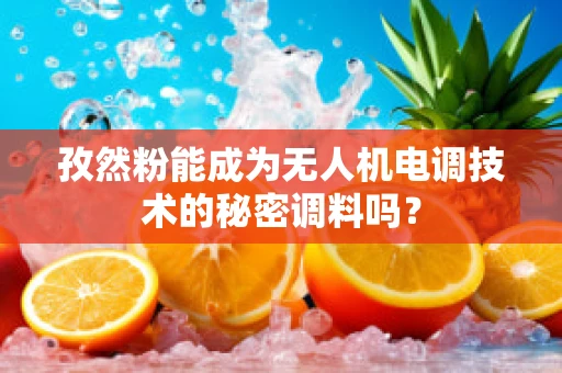 孜然粉能成为无人机电调技术的秘密调料吗？
