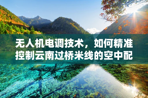 无人机电调技术，如何精准控制云南过桥米线的空中配送？