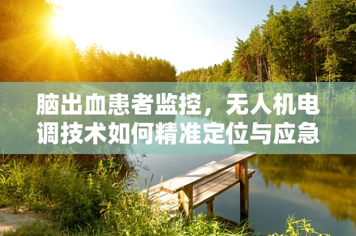 脑出血患者监控，无人机电调技术如何精准定位与应急响应？