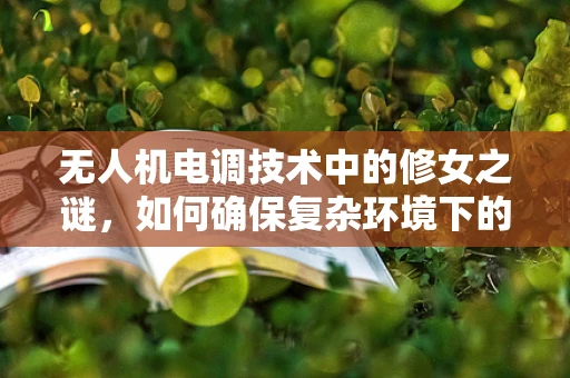 无人机电调技术中的修女之谜，如何确保复杂环境下的稳定飞行？
