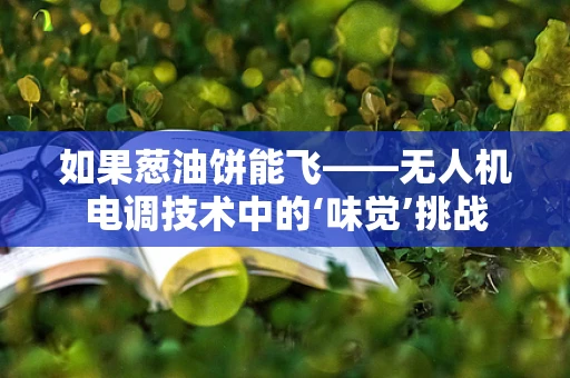 如果葱油饼能飞——无人机电调技术中的‘味觉’挑战