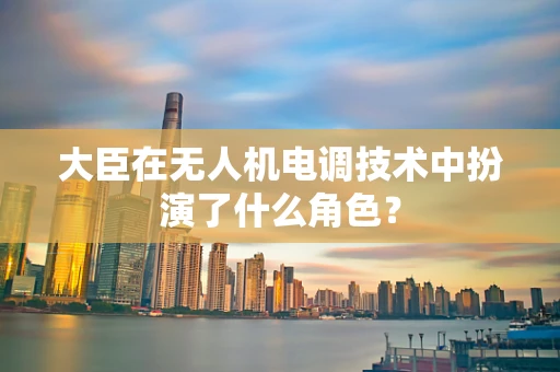 大臣在无人机电调技术中扮演了什么角色？