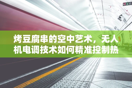 烤豆腐串的空中艺术，无人机电调技术如何精准控制热力？