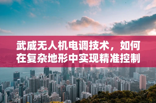 武威无人机电调技术，如何在复杂地形中实现精准控制？