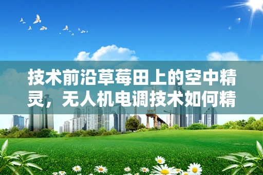 技术前沿草莓田上的空中精灵，无人机电调技术如何精准控制草莓种植？