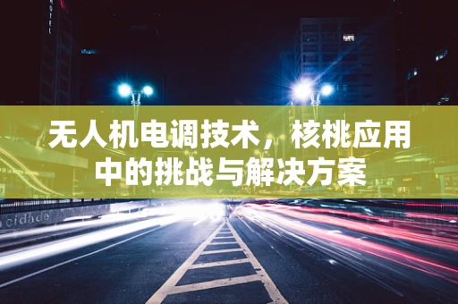 无人机电调技术，核桃应用中的挑战与解决方案