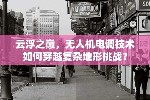 云浮之巅，无人机电调技术如何穿越复杂地形挑战？