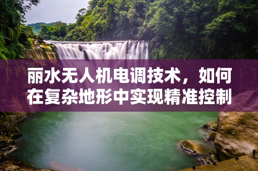 丽水无人机电调技术，如何在复杂地形中实现精准控制？