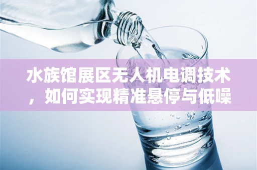 水族馆展区无人机电调技术，如何实现精准悬停与低噪？