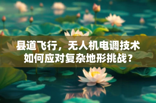 县道飞行，无人机电调技术如何应对复杂地形挑战？