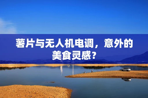 薯片与无人机电调，意外的美食灵感？