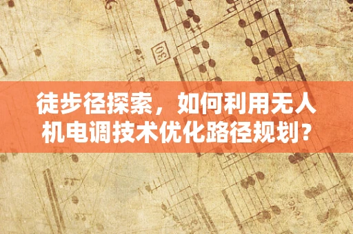徒步径探索，如何利用无人机电调技术优化路径规划？