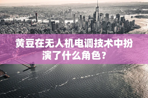 黄豆在无人机电调技术中扮演了什么角色？