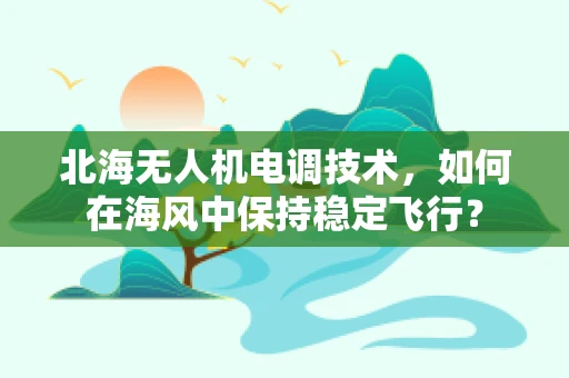 北海无人机电调技术，如何在海风中保持稳定飞行？