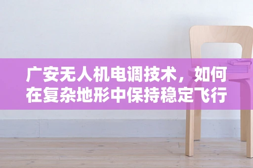广安无人机电调技术，如何在复杂地形中保持稳定飞行？