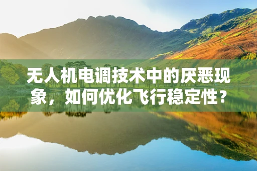 无人机电调技术中的厌恶现象，如何优化飞行稳定性？