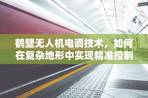 鹤壁无人机电调技术，如何在复杂地形中实现精准控制？