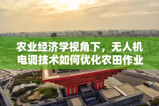 农业经济学视角下，无人机电调技术如何优化农田作业效率？