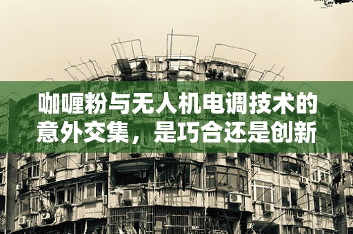 咖喱粉与无人机电调技术的意外交集，是巧合还是创新灵感的火花？