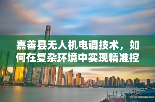 嘉善县无人机电调技术，如何在复杂环境中实现精准控制？