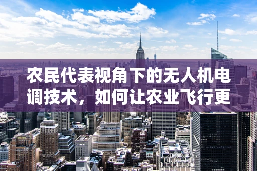 农民代表视角下的无人机电调技术，如何让农业飞行更智能、更安全？