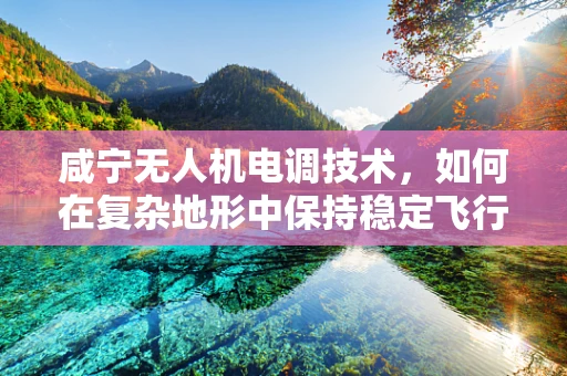 咸宁无人机电调技术，如何在复杂地形中保持稳定飞行？