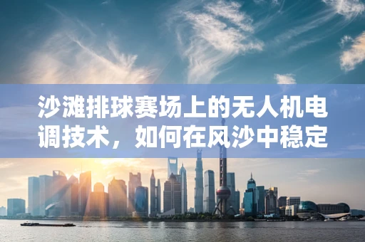 沙滩排球赛场上的无人机电调技术，如何在风沙中稳定飞行？