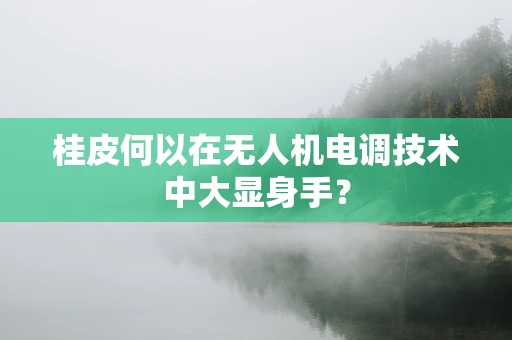 桂皮何以在无人机电调技术中大显身手？