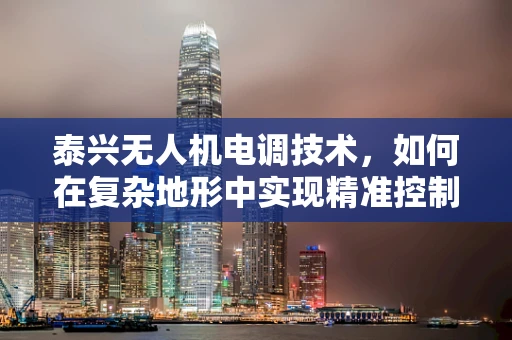 泰兴无人机电调技术，如何在复杂地形中实现精准控制？