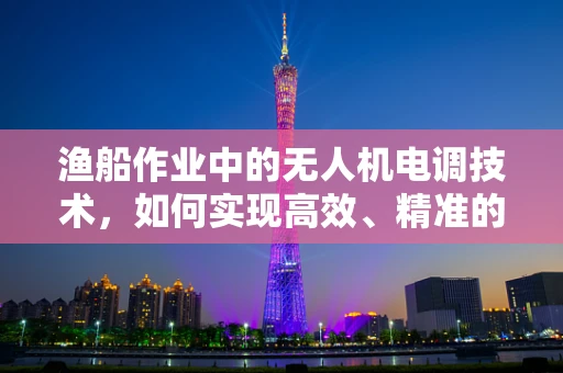 渔船作业中的无人机电调技术，如何实现高效、精准的鱼群监测？