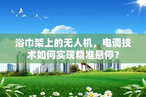 浴巾架上的无人机，电调技术如何实现精准悬停？