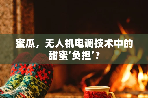 蜜瓜，无人机电调技术中的甜蜜‘负担’？