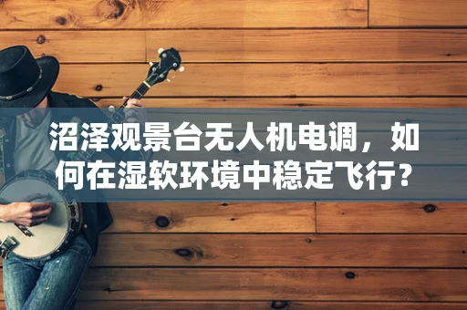 沼泽观景台无人机电调，如何在湿软环境中稳定飞行？