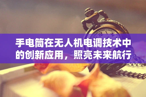 手电筒在无人机电调技术中的创新应用，照亮未来航行的‘明灯’？
