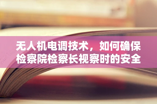无人机电调技术，如何确保检察院检察长视察时的安全与高效？