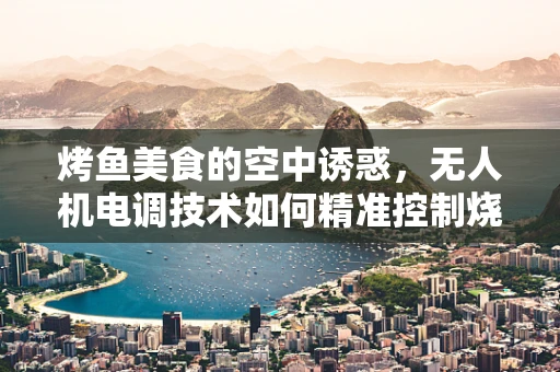 烤鱼美食的空中诱惑，无人机电调技术如何精准控制烧烤温度？