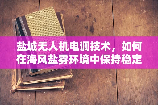 盐城无人机电调技术，如何在海风盐雾环境中保持稳定飞行？