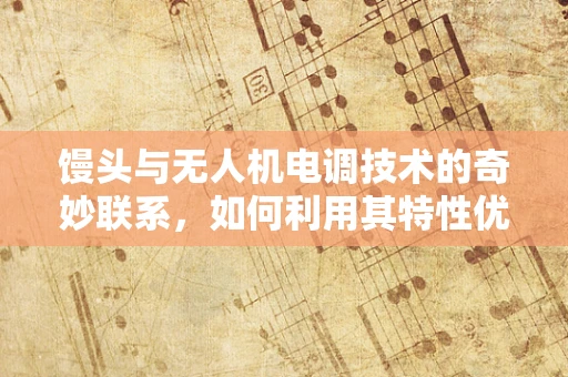馒头与无人机电调技术的奇妙联系，如何利用其特性优化飞行稳定性？
