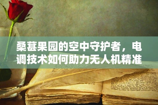 桑葚果园的空中守护者，电调技术如何助力无人机精准喷洒？