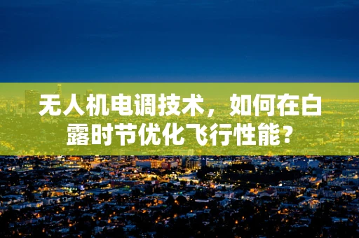 无人机电调技术，如何在白露时节优化飞行性能？
