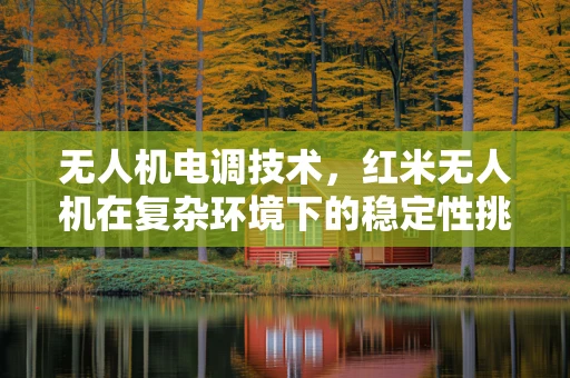 无人机电调技术，红米无人机在复杂环境下的稳定性挑战