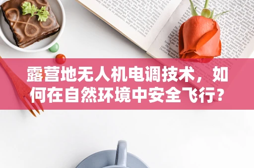 露营地无人机电调技术，如何在自然环境中安全飞行？