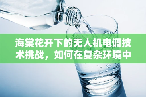 海棠花开下的无人机电调技术挑战，如何在复杂环境中保持稳定飞行？